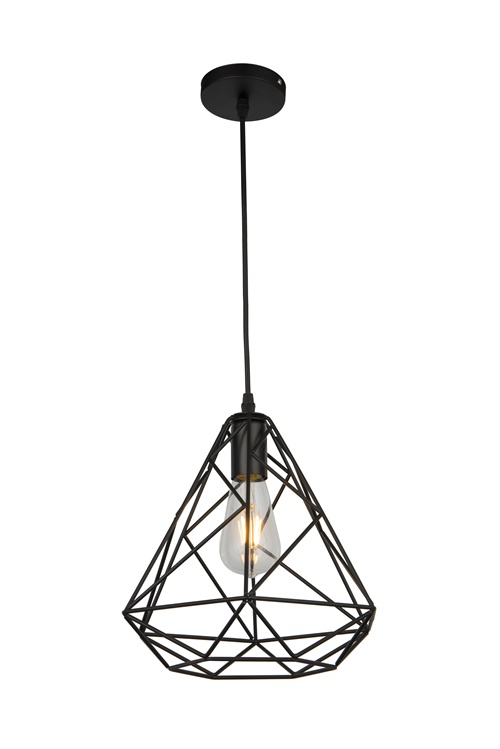 Pendant Lamp  (1)