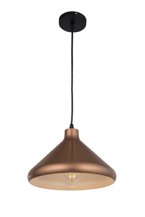 Pendant Lamp  (2)