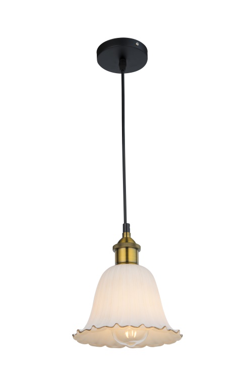 Pendant Lamp  (3)