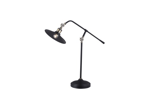 Table Lamp (1)